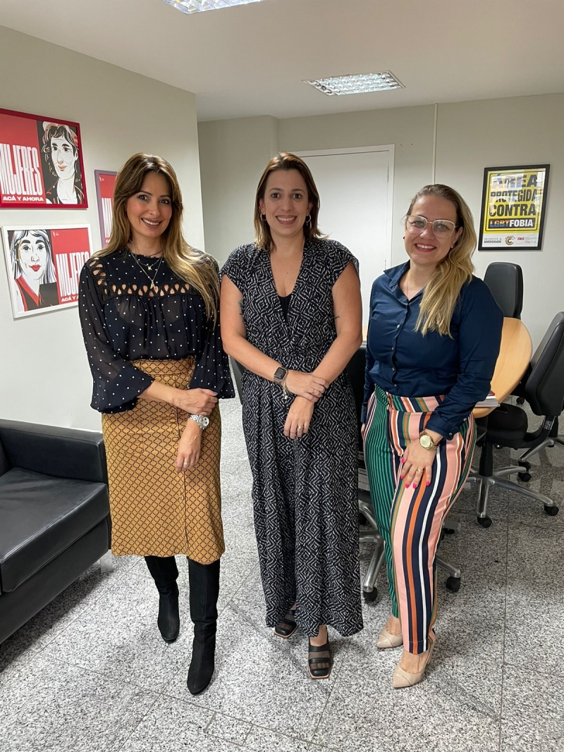 A Comissão de Direitos Humanos (CDH) da OAB-ES participa de uma reunião com a Secretária Estadual de Direitos Humanos (SEDH), Nara Borgo