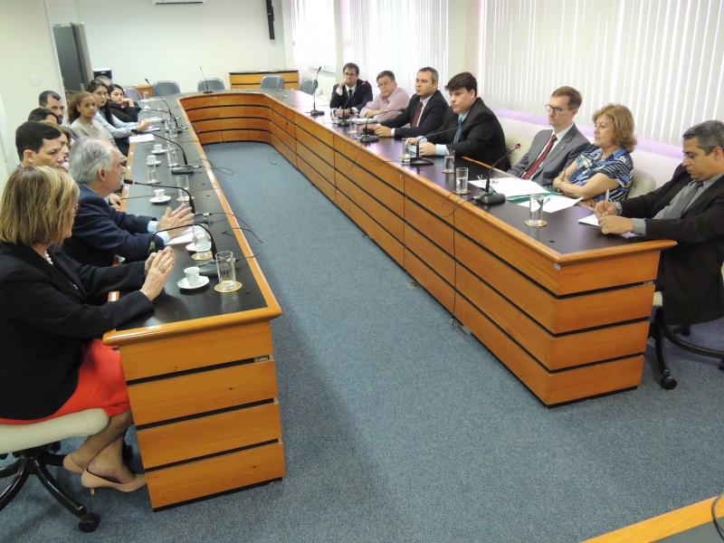 Audiência Pública foi realizada nesta segunda (18), na OAB-ES. Foto: Divulgação.