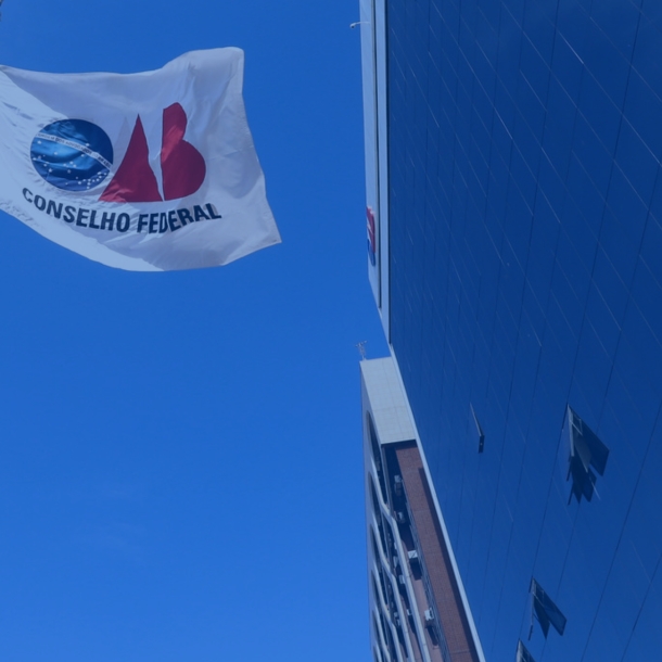 OAB-ES integra manifestação ao STF sobre duração do inquérito das fake news