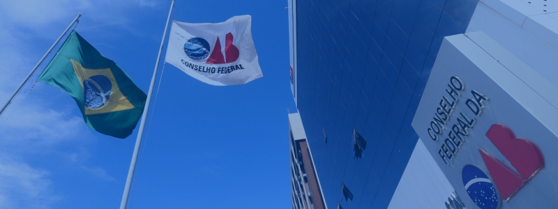 OAB-ES integra manifestação ao STF sobre duração do inquérito das fake news