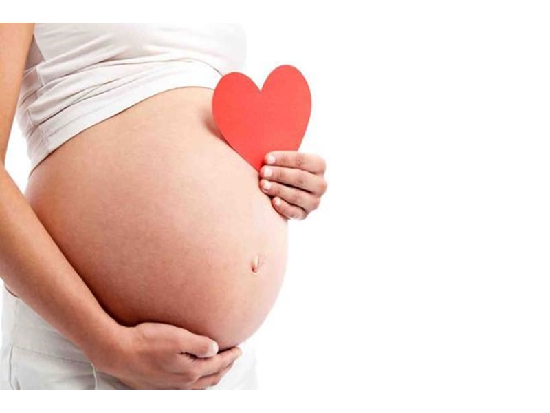 Comissão da Mulher Advogada representa mais de 8 mil advogadas. Foto: Reprodução.