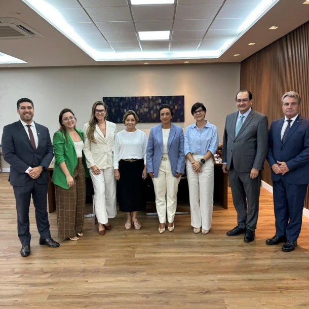 OAB-ES articula pautas da advocacia e TJES apresenta medidas para melhorias