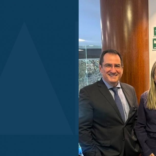 OAB-ES participa da reunião do Conselho Pleno do Conselho Federal sobre a modernização da justiça e a revisão do provimento eleitoral