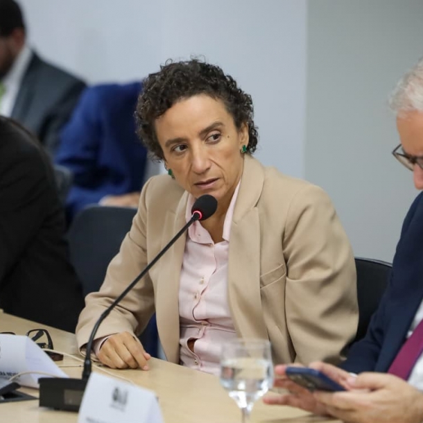 Presidente da OAB-ES integrará grupo de trabalho da OAB Nacional sobre regras de inscrição suplementar