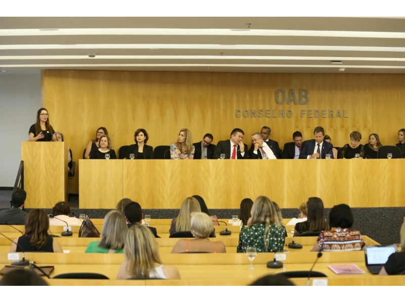 Censo foi lançado nesta segunda (13). Foto : Divulgação.